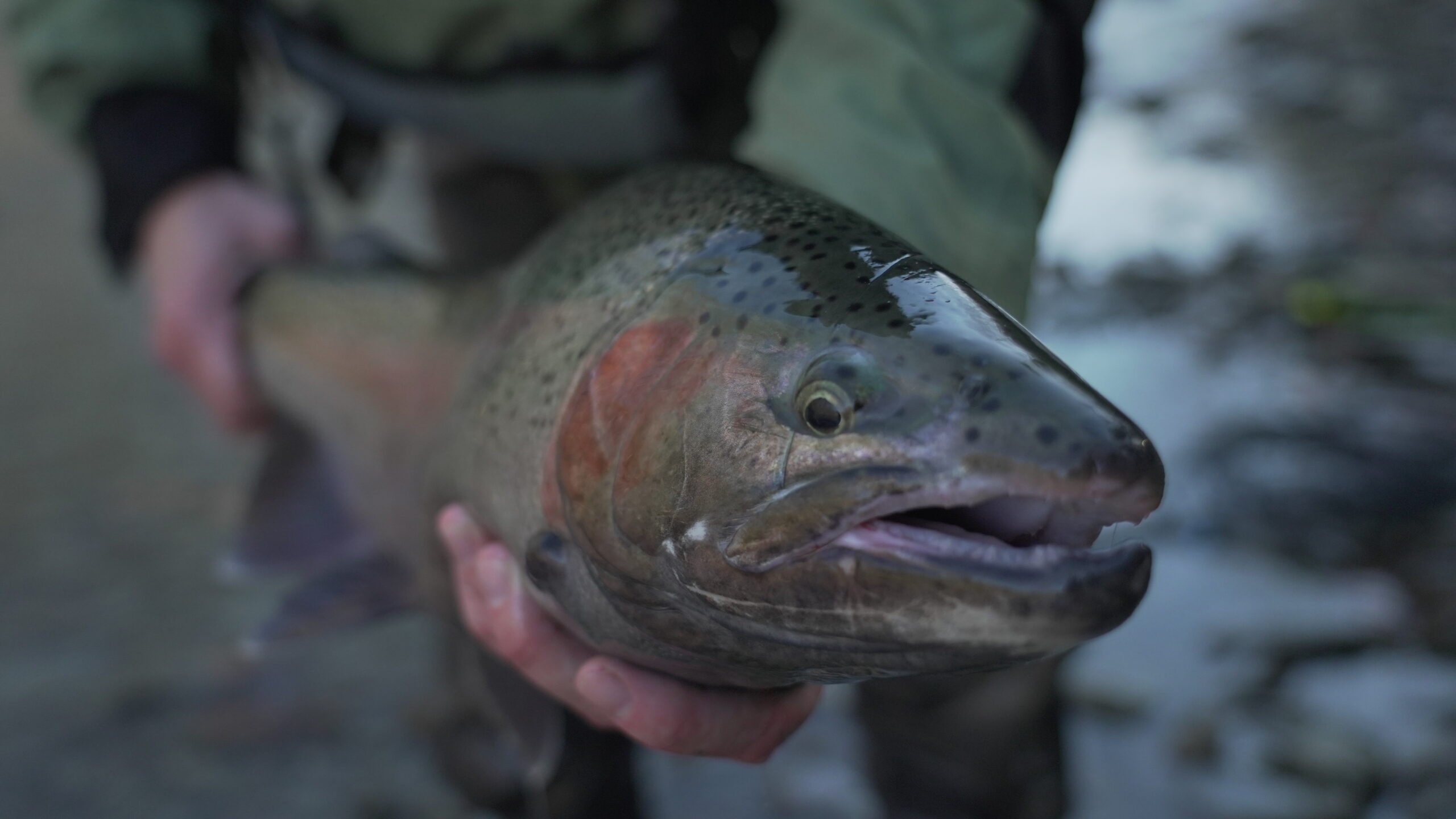 Journey on the Fly Pennsylvania fly fishing