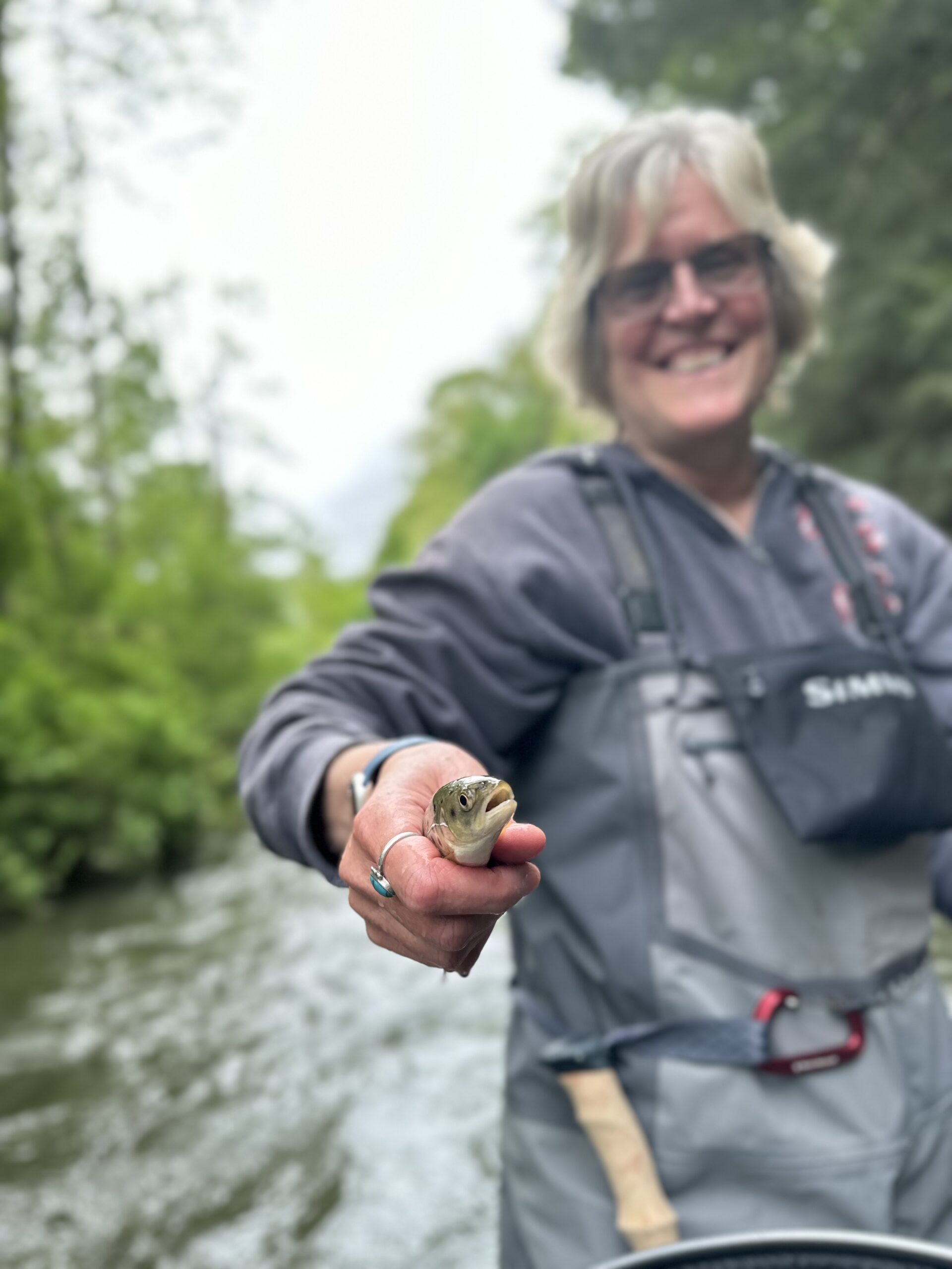 Journey on the Fly Pennsylvania fly fishing